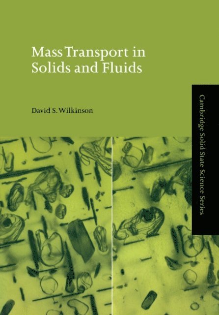 David S. Wilkinson - Mass Transport in Solids and Fluids, E-bok