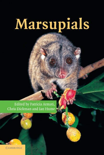 Patricia J. Armati, Chris R. Dickman, Ian D. Hume - Marsupials, Häftad