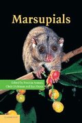 Marsupials