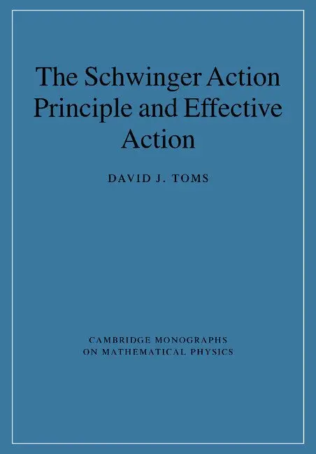 David J. Toms - The Schwinger Action Principle and Effective Action, Häftad. Tillgänglighet: Lägg i varukorg