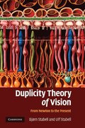 Duplicity Theory of Vision