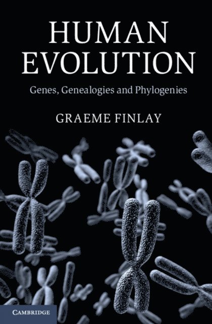 Graeme Finlay - Human Evolution, E-bok