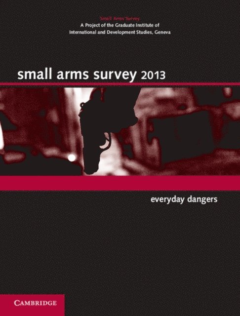 Geneva Small Arms Survey - Small Arms Survey 2013, E-bok