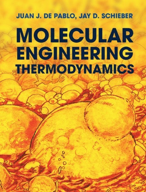 Jay D. Schieber, Juan J. de Pablo - Molecular Engineering Thermodynamics, E-bok
