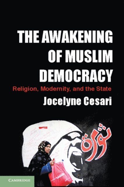 Jocelyne Cesari - Awakening of Muslim Democracy, E-bok