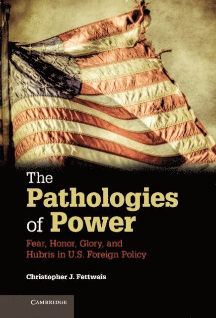 Christopher J. Fettweis - Pathologies of Power, E-bok
