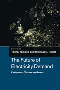 The Future of Electricity Demand