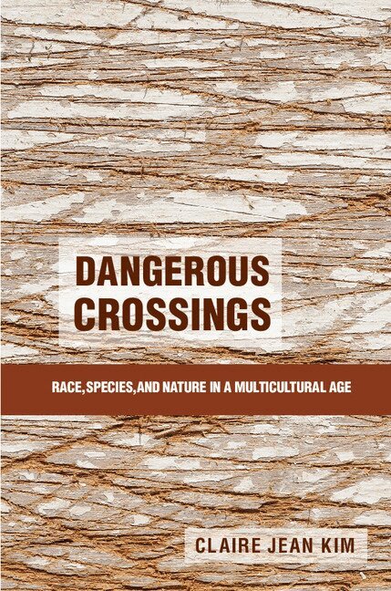 Claire Jean Kim - Dangerous Crossings, Häftad