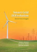 Smart Grid (R)Evolution