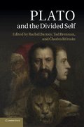 Plato and the Divided Self