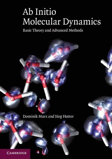 Ab Initio Molecular Dynamics av Dominik Marx, Jurg Hutter, Dominik Marx, Jürg Hutter