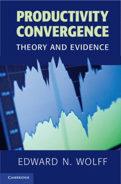 Edward N. Wolff - Productivity Convergence, E-bok