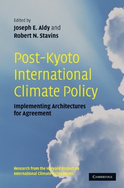 Robert N. Stavins, Joseph E. Aldy - Post-Kyoto International Climate Policy, E-bok