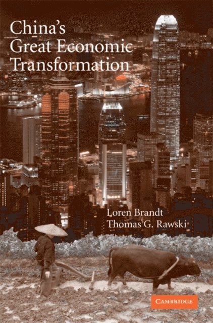 Thomas G. Rawski, Loren Brandt - China's Great Economic Transformation, E-bok
