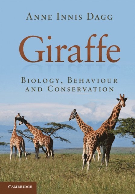 Anne Innis Dagg - Giraffe, E-bok