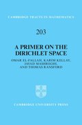 Primer on the Dirichlet Space