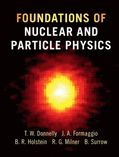 Bernd Surrow, Richard G. Milner, Barry R. Holstein, Joseph A. Formaggio, T. William Donnelly - Foundations of Nuclear and Particle Physics, E-bok