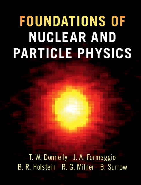 Bernd Surrow, Richard G. Milner, Barry R. Holstein, Joseph A. Formaggio, T. William Donnelly - Foundations of Nuclear and Particle Physics, E-bok