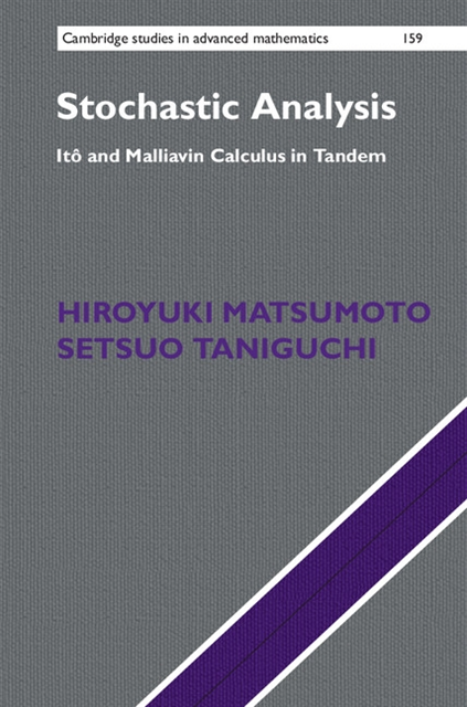 Setsuo Taniguchi, Hiroyuki Matsumoto - Stochastic Analysis, E-bok