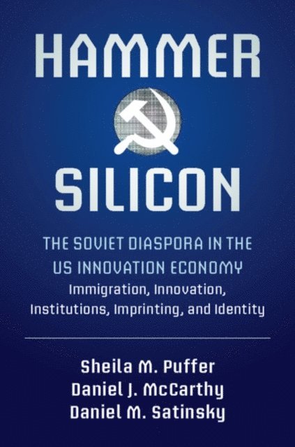 Daniel M. Satinsky, Daniel J. McCarthy, Sheila M. Puffer - Hammer and Silicon, E-bok