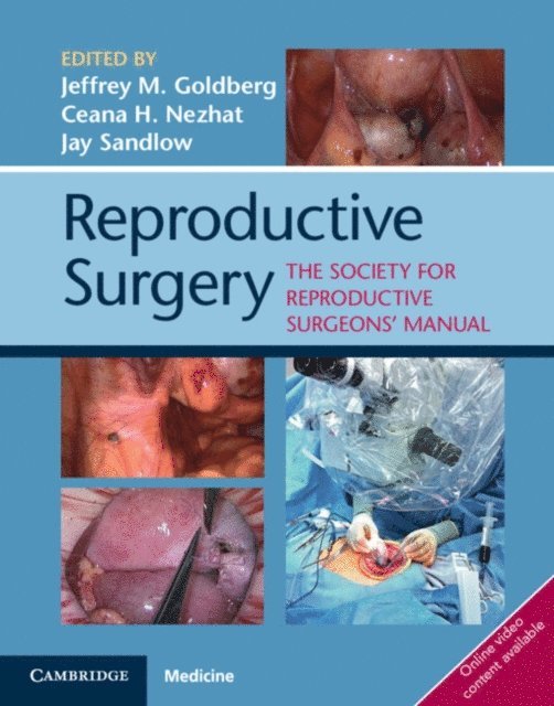 Jay Ira Sandlow, Ceana H. Nezhat, Jeffrey M. Goldberg - Reproductive Surgery, E-bok