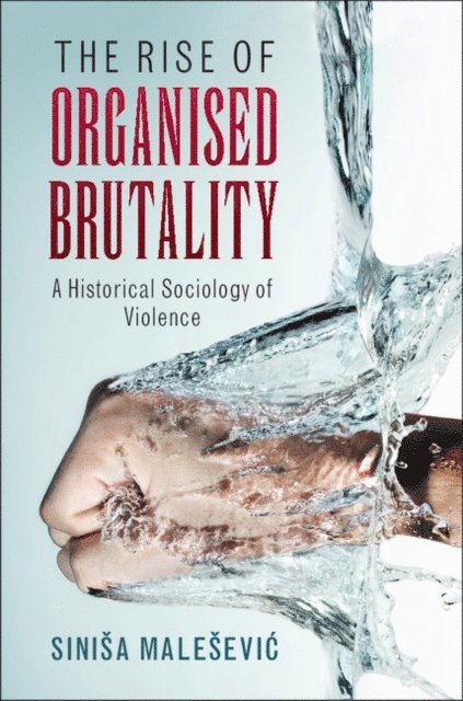 Sinisa Malesevic - Rise of Organised Brutality, E-bok