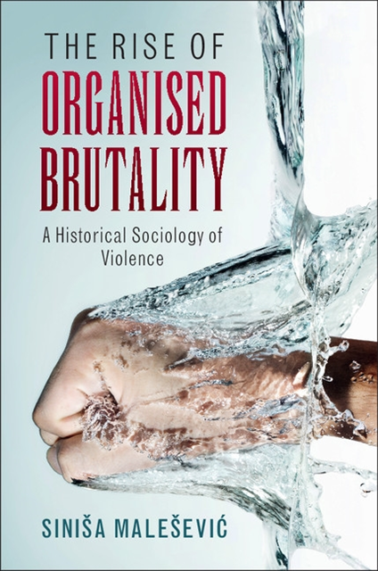Sinisa Malesevic - Rise of Organised Brutality, E-bok