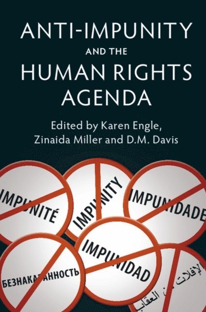 D. M. Davis, Zinaida Miller, Karen Engle - Anti-Impunity and the Human Rights Agenda, E-bok
