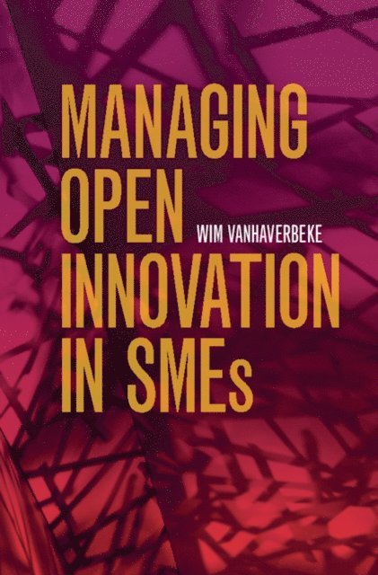 Wim Vanhaverbeke - Managing Open Innovation in SMEs, E-bok