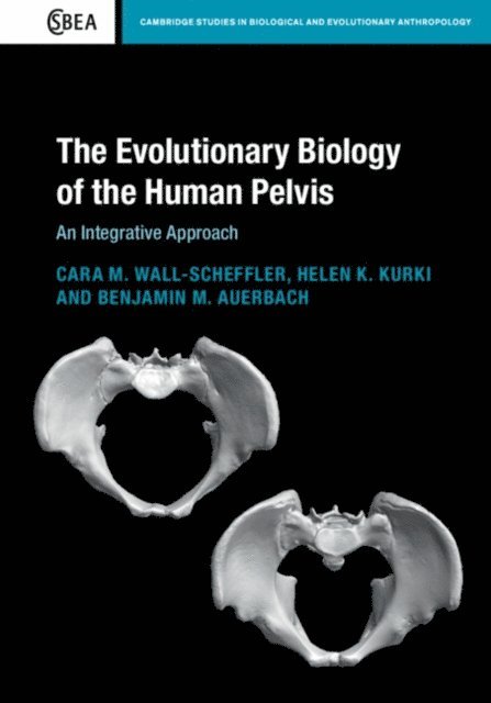 Benjamin M. Auerbach, Helen K. Kurki, Cara M. Wall-Scheffler - Evolutionary Biology of the Human Pelvis, E-bok. Tillgänglighet: Lägg i varukorg