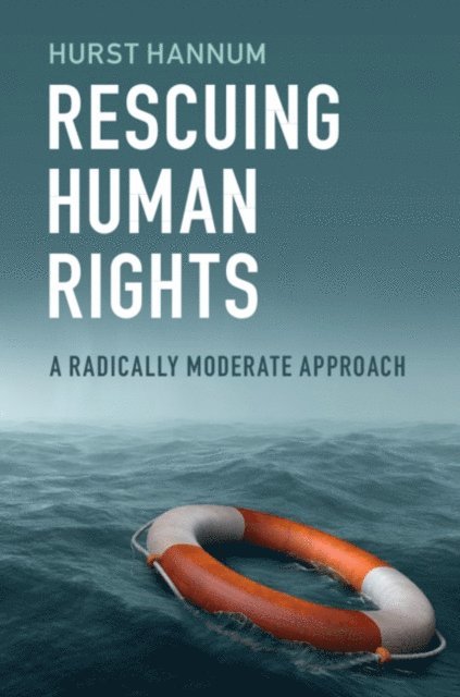 Hurst Hannum - Rescuing Human Rights, E-bok