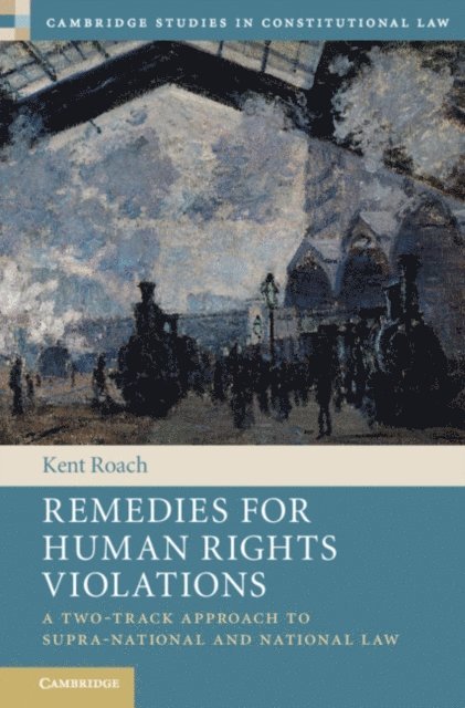 Kent Roach - Remedies for Human Rights Violations, E-bok