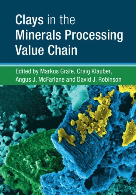 David J. Robinson, Angus J. McFarlane, Craig Klauber, Markus Grafe - Clays in the Minerals Processing Value Chain, E-bok