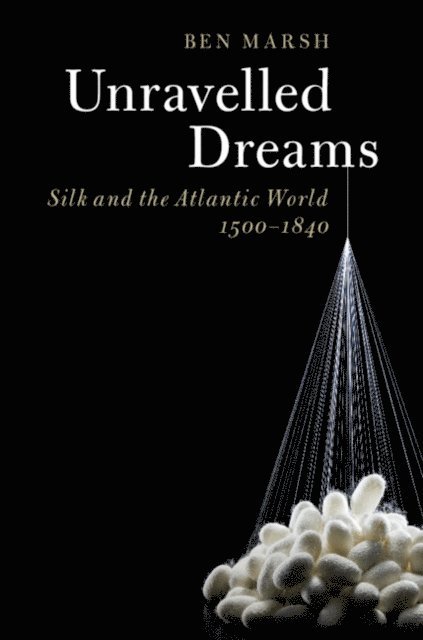 Ben Marsh - Unravelled Dreams, E-bok