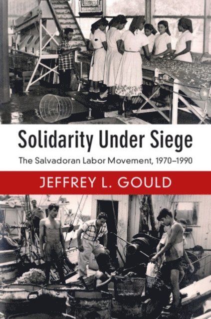 Jeffrey L. Gould - Solidarity Under Siege, E-bok