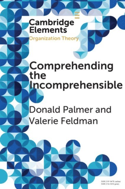 Valerie Feldman, Donald Palmer - Comprehending the Incomprehensible, E-bok