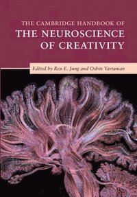 Cambridge Handbook of the Neuroscience of Creativity