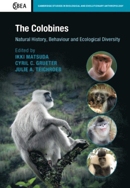 Julie A. Teichroeb, Cyril C. Grueter, Ikki Matsuda - Colobines, E-bok