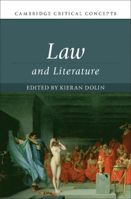 Kieran Dolin - Law and Literature, E-bok