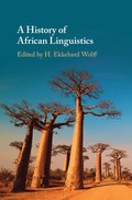 A History of African Linguistics