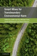 Smart Mixes for Transboundary Environmental Harm