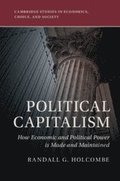 Political Capitalism
