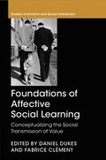 Foundations of Affective Social Learning
