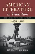 American Literature in Transition, 1876-1910: Volume 4