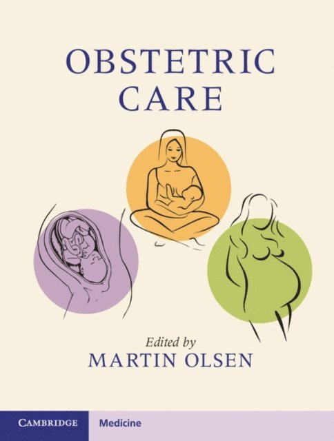 Martin Olsen - Obstetric Care, E-bok