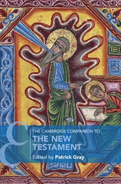 Patrick Gray - Cambridge Companion to the New Testament, E-bok