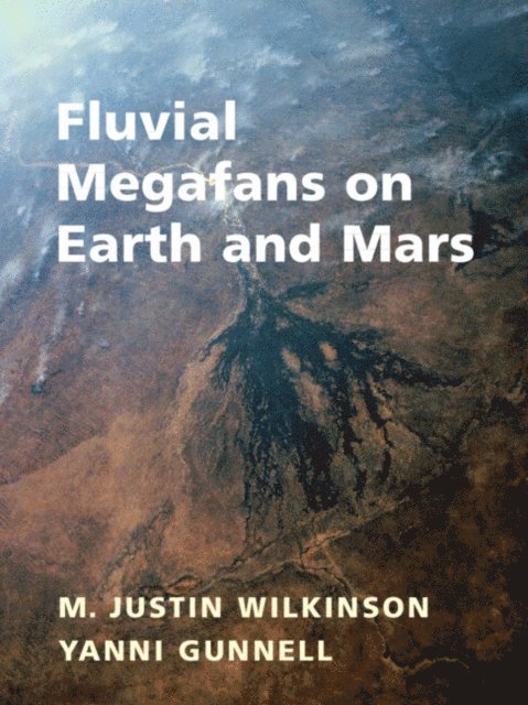 Yanni Gunnell, Justin Wilkinson - Fluvial Megafans on Earth and Mars, E-bok