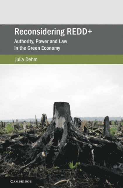 Julia Dehm - Reconsidering REDD+, E-bok