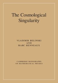 Cosmological Singularity