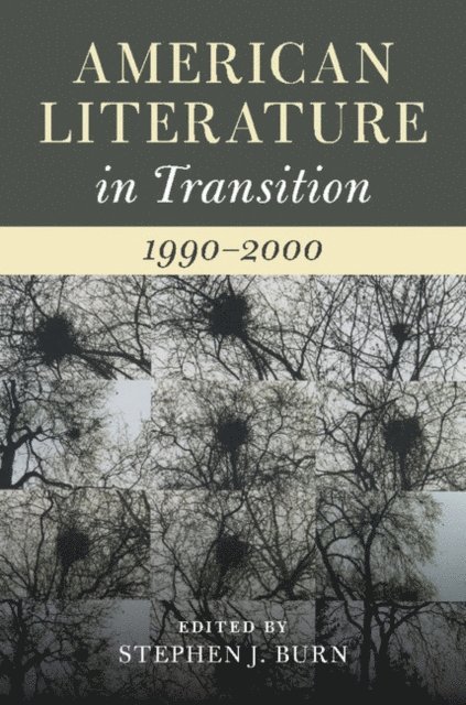 Stephen J. Burn - American Literature in Transition, 1990-2000, E-bok